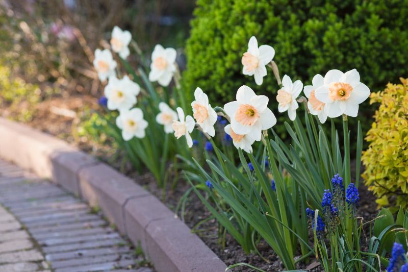 Landscape Paver Features