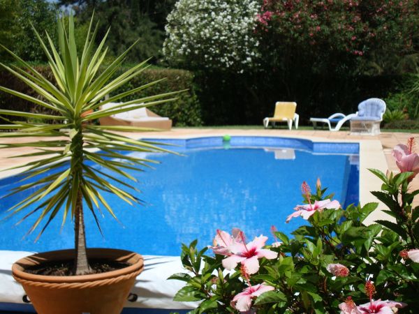 Pool Terrace Renovation in Bremerton